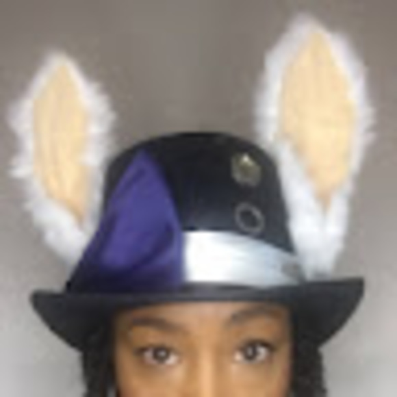 Meet your Posher, Shera-lea - Picture 1 of 1